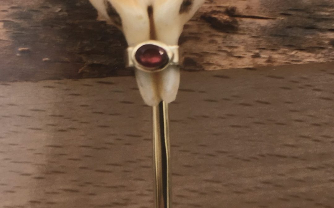 Broche vènerie simple bandeau avec pierre et crocs de cerf