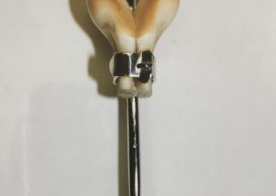 Broche de vènerie simple ceinturon et crocs de cerf